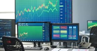 Beginner's Investment Plan.jpg