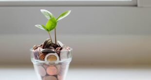 Smart Ways to Grow Your Money Fast.jpg